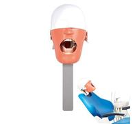 Teaching Model,Dental Manikin Phantom Head Dental Simulator Unit for Training with Mask Preparation Denture Head-molding for Dentistry and Dental Technology