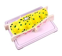 Teaching model Educational model Onion epidermal cell model Standard microscope magnification model Plant cell model Biology teaching models for the