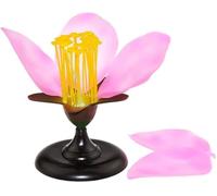 Teaching Model, Peach Flower Model, Plant Anatomy Biology Teaching Model, Flower Structure Reproduction Concepts for High School Biology Science Model Anatomy Biology.