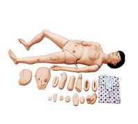 Teaching Model Scientific Patient Care Manikin, Female Nursing Training Simulation Model Patient Care Simulator Male and Female Nursing Manikin Human Anatomical Model for Nursing Medical Training