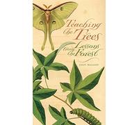 Teaching the Trees: Lessons from the Forest
