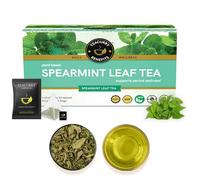 TEACURRY Spearmint Leaf Tea Bag - 30 Tea Bags | Helps with body wellness, Facial Hair, and Memory | Spearmint loose Leaf
