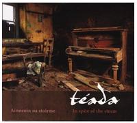 Teada - In Spite Of The Storm