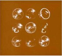 Teague, Ryan - Coins And Crosses