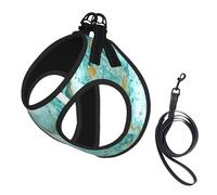 Teal And Gold Marble Compact Pet Suspender Vest-The Perfect Small Pet For A Comfortable Walk