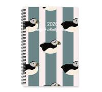 Teal and Pale Pink Stripes 2026 Notebook A5 To Do List Notebook Daily Journal 2026 Diary Men Diary Planner for Wedding Week To View Monthly Year Planner with Dotted Line Note Page Slim