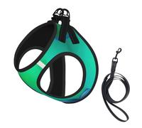 Teal Blue Print Pet Leash Vest,Breathable Mesh Pet Harness, Reflective For Small Medium Dogs Safe Easy Walking