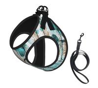 Teal Flower on Wooden Plank print Dog Harness and Leash Set, Reflective Adjustable Puppy Vest for Small Medium Large Dogs, Cats