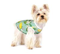 Teal Lemon And Leaf Printed,Cotton Sleeveless Pet T-Shirt Soft Stretchy Puppy Breathable Vest,M