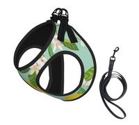 Teal Lemon And Leaf Printed,Pet Harness,Adjustable Reflective Dog Harness,Pet Leash Vest,M