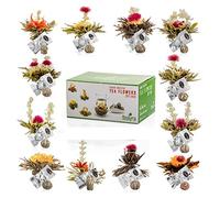 Tealyra - Blooming Flowering Tea Gift Box - 12 Variety Flavors of Finest Blooming Green Teas - 12 Quality Tea Balls Individually Sealed