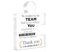 Team Appreciation Gifts Thank You Gift for Coworkers Colleagues Employees Boss, Best Team Ever Gifts We Wouldn't Be the Team We Are Without You Acrylic Puzzle Piece Plaque Office Decor