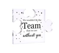 Team Appreciation Puzzle Plaque for Women Men We Wouldn't Be The Team That We are Without You Teams Desk Accessories Decor for Employee Coworker Appreciation Thank You Gift