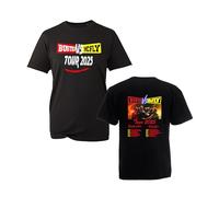 Team Busted vs McFly T-Shirt, Viral British Pop Group World Tour 2025 Dates Poster Style Graphic Shirt, Gift Unisex Tee Top (Black, XL)