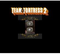 Team Fortress 2 Badges - Mandrew's Munificent Mug and Israphel's Eleemosynary Expression Steam CD Key