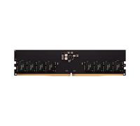 Team Elite 16GB (1x16GB) DDR5 5600MHz CL46 1.1V ECC PMIC DIMM Memory