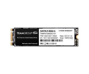 Team Group MS30 M.2 256 Go Série ATA III 256 GB Black