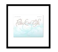 &TEAM KR - 1st Mini Album Back to Life Photocard Box (Mini CD-R ver.) CD