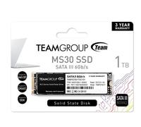 Team Group MS30 1 TB M.2 Serial ATA III
