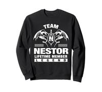 Team NESTOR - Lifetime Member Gifts Sweatshirt