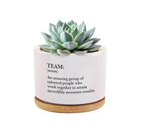 Team Noun Definition Coworker Gifts for Team Members Employees from Boss Manager Inspirational Motivational Gift Ceramic Succulent Plant Pot with Bamboo Tray Round Home Office Decor 3.5 Inch White