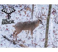 Team Radical Hunting