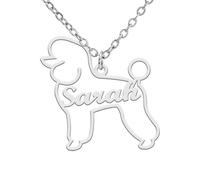 TEAMER Dainty Dog Name Necklace Personalized Animal Name Pendant Teckel Labrador Personalized Engraved Pet Memorial Jewelry For Women Men, /, Stainless Steel, No Gemstone