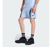 Teamgeist Adicolor Shorts