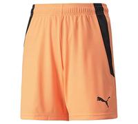 teamLIGA Shorts Jr