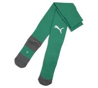 teamLIGA26 Socks Core