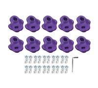 TeamSky 10PCS Rock Climbing Holds PE Ergonomic Comfortable Hand Feeling Climbing Rock Wall Grips for Indoor Outdoor (Purple)