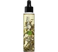 Teaology Body care Bancha Oil 100 ml