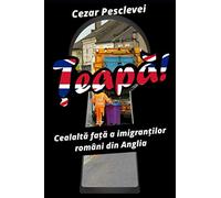 ȚEAPĂ! Cealaltă față a imigranților români din Anglia
