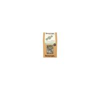 Teapigs - Peppermint Leaves Tea 50 Bag