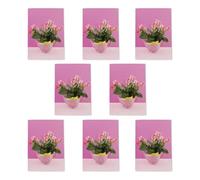 Teapot Roses Floral Greeting Cards Pack of 8 Pink Tea Party Art Note Cards Any Occasion Blank Inside A6 10x15cm