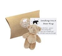 Teaque A Little Pocket Bear, Mini Plush Bear,A little Pocket Bear Hug,Sending You a Hug Card, Love Token, Cute Fun Animal Pocket Hug Gifts for Kid Lover Friend Family Couple Birthday Graduation,Brown