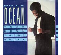 Tear Down These Walls [Vinyl Single 7'']