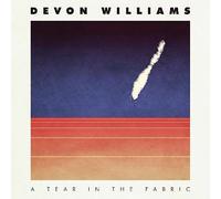 Tear In the Fabric by Devon Williams (Record, 2020)