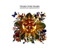Tears for Fears - Tears Roll Down - Greatest Hits [DVD] [2004]