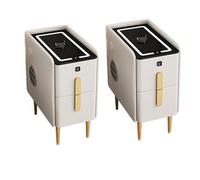 TEAZDLSZD Narrow Nightstand for Bedroom,3-Color LED Bedside Cabinet with USB/Type-C/Wireless Charging Station,Bedside Table with 2 Drawer,Speaker and Fingerprint Lock(Color:White2pc,Size:40x40x48cm