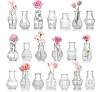 Tebery 20 Pack Glass Bud Vases, Clear Small Flower Vase for Centerpieces, Vintage Mini Glass Vase Set Bulk for Table Wedding Home Party Decoration