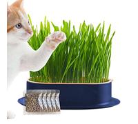 Tebinzi Plant Bowl | Cultivation Tray Growkit - Easy to Set Up Germination Set for Microgreens Wheat Grass Sprouts from Cultivation