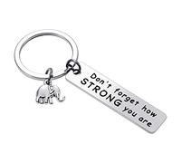 Teblacker Elephant Inspirational Keychain, Don't Forget How Strong You are Keyring, Best Friends Gift, Elephant Lovers, Graduation Gift for Men Women Teenager