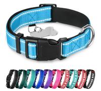TECEUM Reflective Dog Collar - Sky blue - L - Extra Soft Padding - Basic Nylon Pet Collar - Quick Release Buckle - Fits Small, Medium and Large Dogs, Puppies, Cats