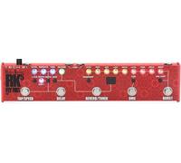 Tech 21 SansAmp Richie Kotzen Fly Rig 5 V3