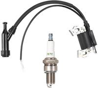Techie Ignition Coil Spark Plug F6TC Set 30500-ZE1-033 for GX200/120/160 | TICS0014+F6TC for Hon da 5.5HP Engine,OEM 30500-ZE1-063 30500-ZE1-073 and NGK BP6ES,for Assy Magneto Lawn Mower Trimmer Motor