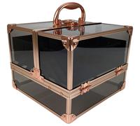 Technic Black & Rose Gold Vanity Case