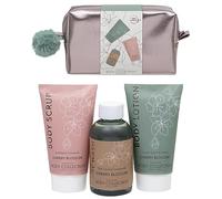 Technic Body Collection Ladies Wash Bag Travel Set with Body Scrub, Wash & Lotion