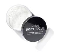 Technic Loose Powder Translucent Face Setting Fixing Finishing Powder