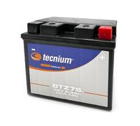 TECHNIUM maintenance-free factory activated battery - BTZ7S